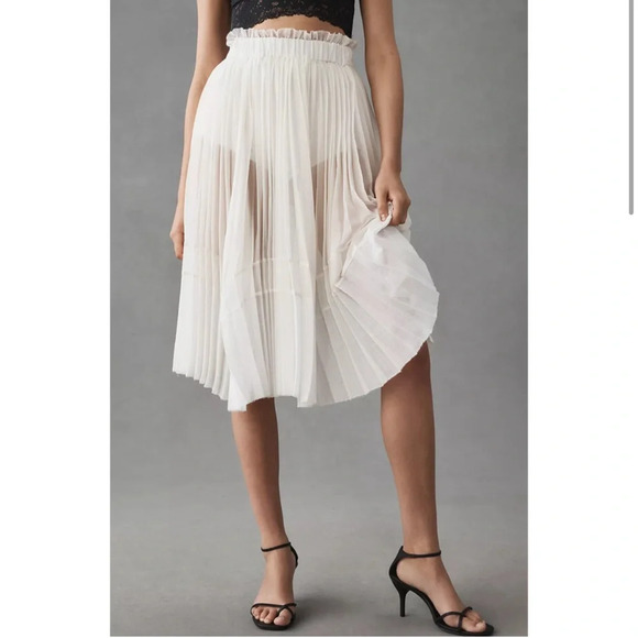 Let Me Be (Anthropologie) Sheer Pleated A-Line Skirt, NWT - Picture 3 of 10